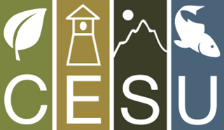 Letters C E S U with a green leaf, brown lighthouse, sage mountain, and blue fish above them